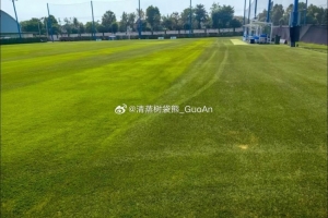 博主:国安将于今晚抵达泰国曼谷,本阶段训练将持续至春节前结束